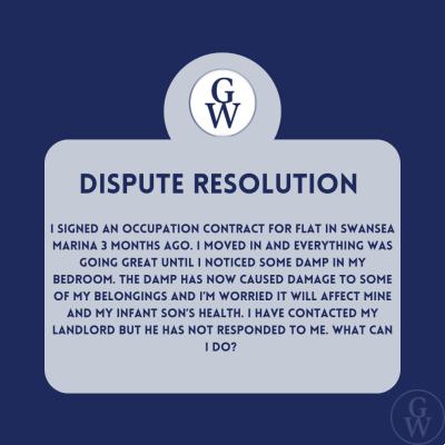 Dispute Resolution - conditions of my property