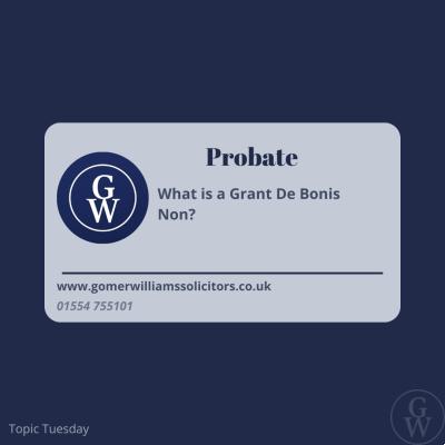 What is a Grant De Bonis Non?