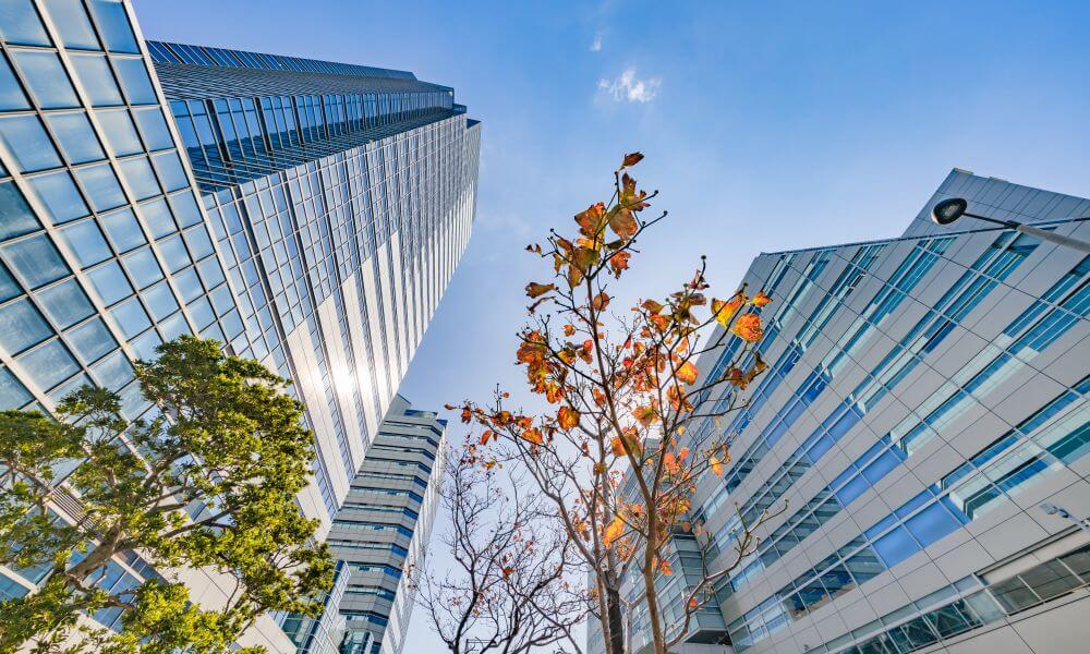 commercial leases